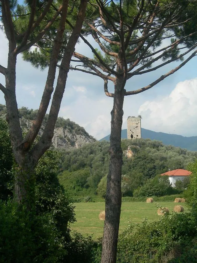 B&B La Rondine Tra Pisa E Lucca San Giuliano Terme Bed & Breakfast