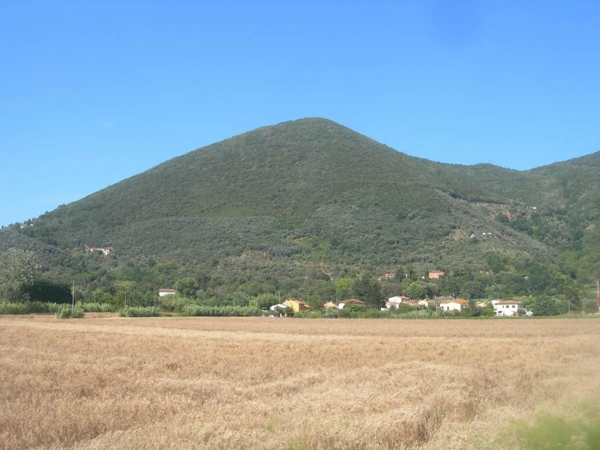 B&B La Rondine Tra Pisa E Lucca San Giuliano Terme Frühstückspension